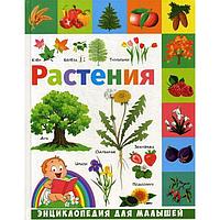 Растения: энциклопедия для малышей. Гриценко Е.