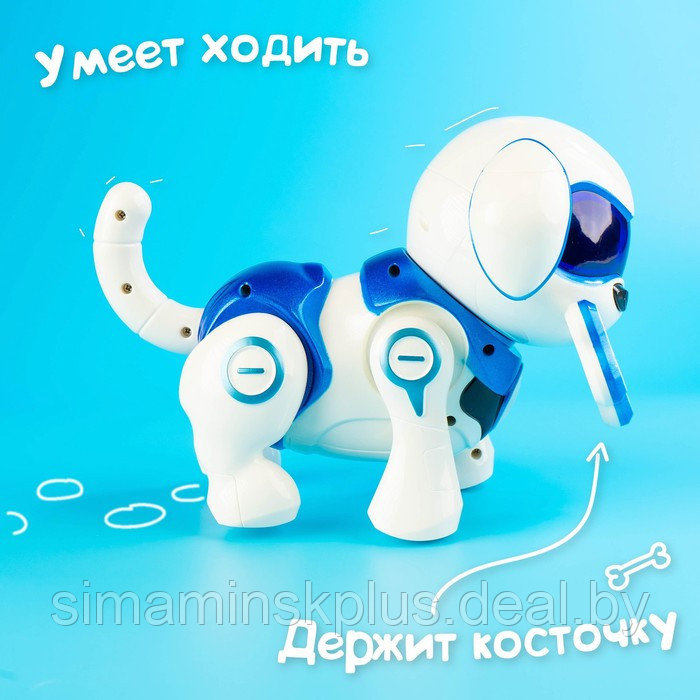 Робот-собака «Чаппи», русское озвучивание, световые и звуковые эффекты, цвет синий - фото 9 - id-p199009809