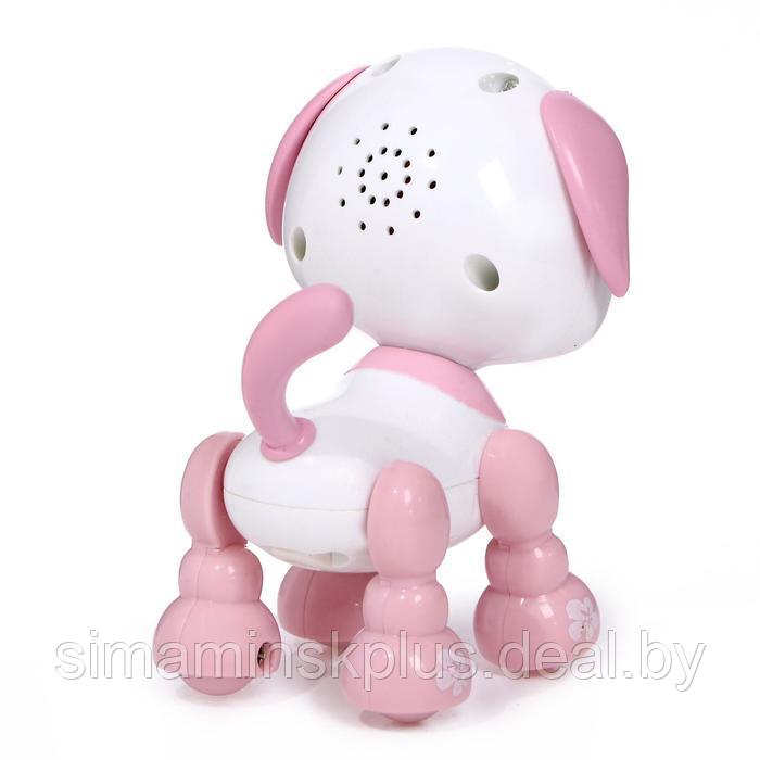 Робот-игрушка интерактивный «Умный дружок», звук, свет, цвет розовый - фото 3 - id-p199009816