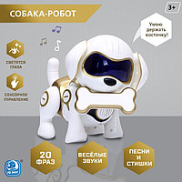 Робот-собака «Чаппи», русское озвучивание, световые и звуковые эффекты, цвет золотой