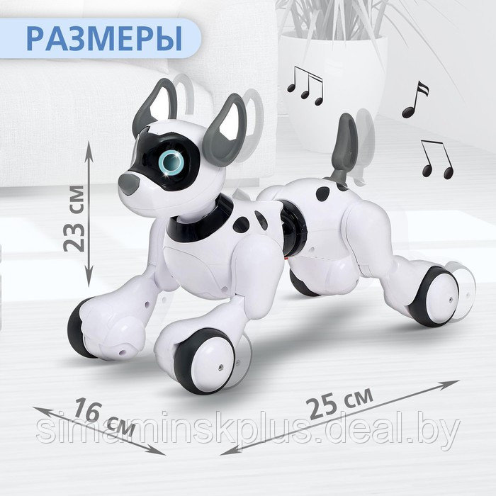 Робот радиоуправляемый «Собака Koddy», световые и звуковые эффекты, русская озвучка - фото 2 - id-p199009917