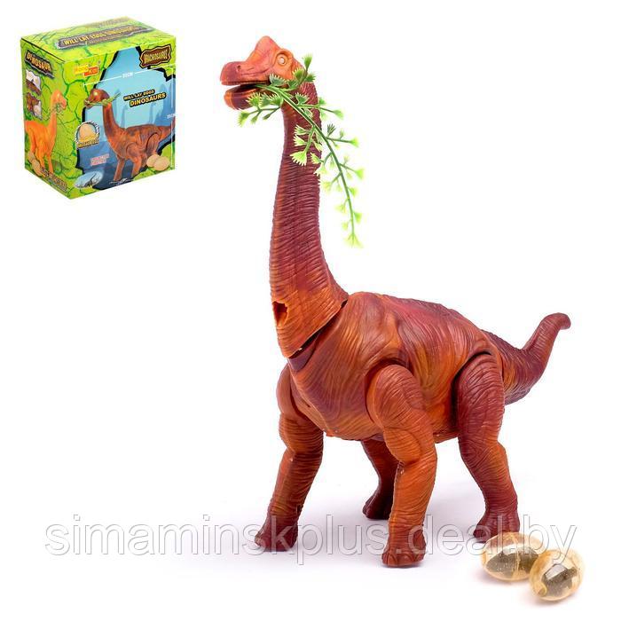 Динозавр «Брахиозавр травоядный», работает от батареек, откладывает яйца, с проектором, цвет коричневый - фото 1 - id-p199004536