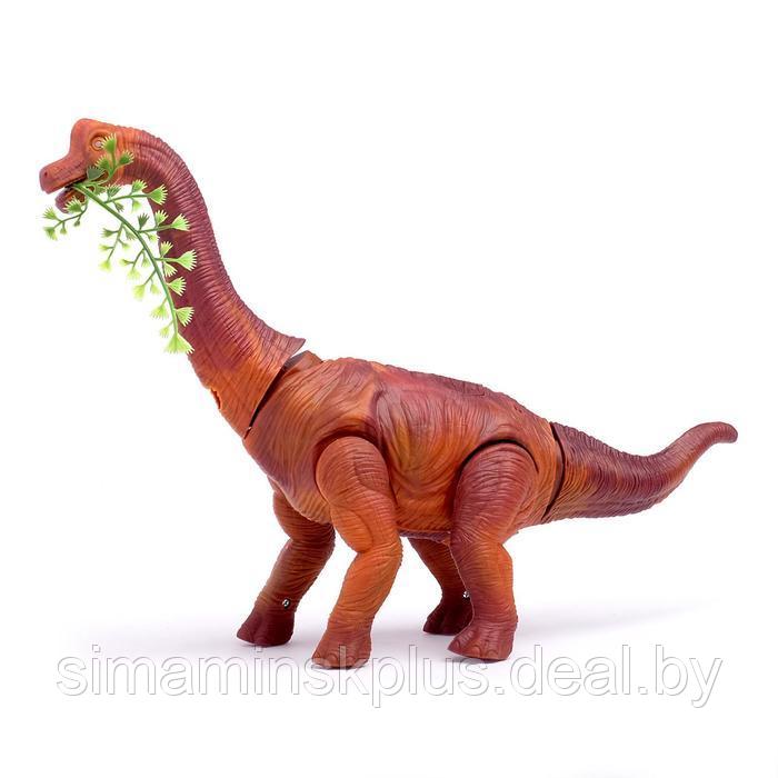Динозавр «Брахиозавр травоядный», работает от батареек, откладывает яйца, с проектором, цвет коричневый - фото 3 - id-p199004536