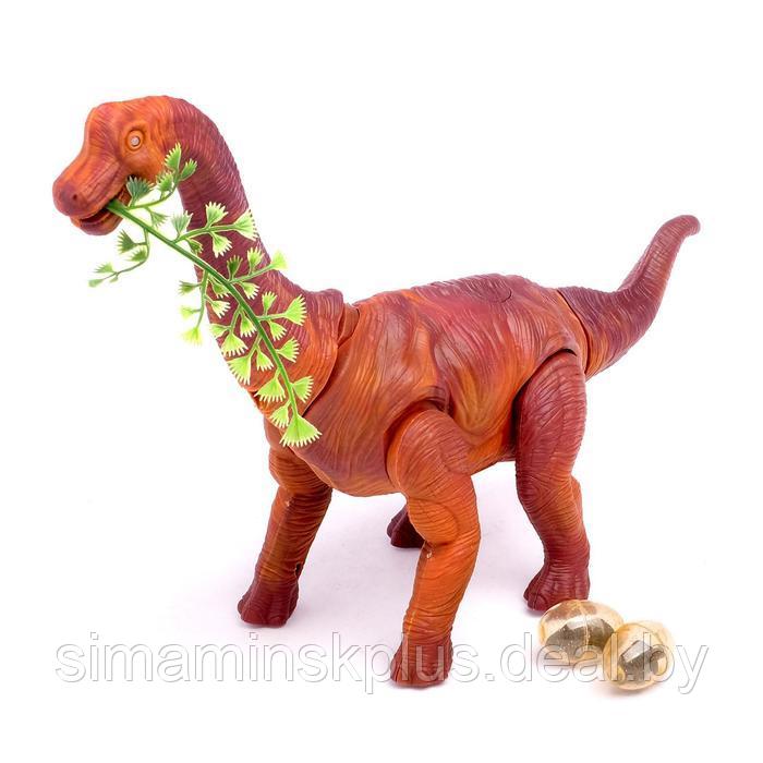 Динозавр «Брахиозавр травоядный», работает от батареек, откладывает яйца, с проектором, цвет коричневый - фото 4 - id-p199004536