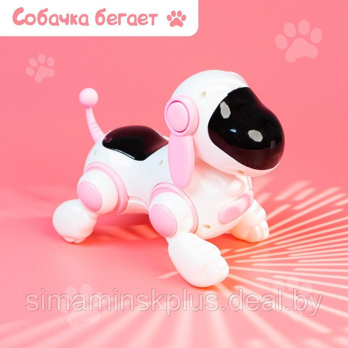 Собачка-робот «Умная Лотти», ходит, поёт, работает от батареек, цвет розовый - фото 5 - id-p199004548