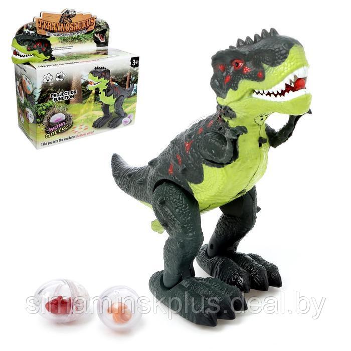 Динозавр «Рекс», откладывает яйца, проектор, свет и звук, работает от батареек, цвет зелёный - фото 1 - id-p199004575