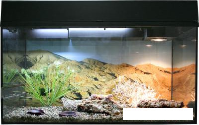 Террариум Lucky Reptile Стартовый комплект для эублефаров SK80LG-B (черный) - фото 1 - id-p198546248