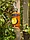 Фонарь декоративный «Чудесный сад Термометр» уличный настен., с датч. движ, на солнечной, фото 7