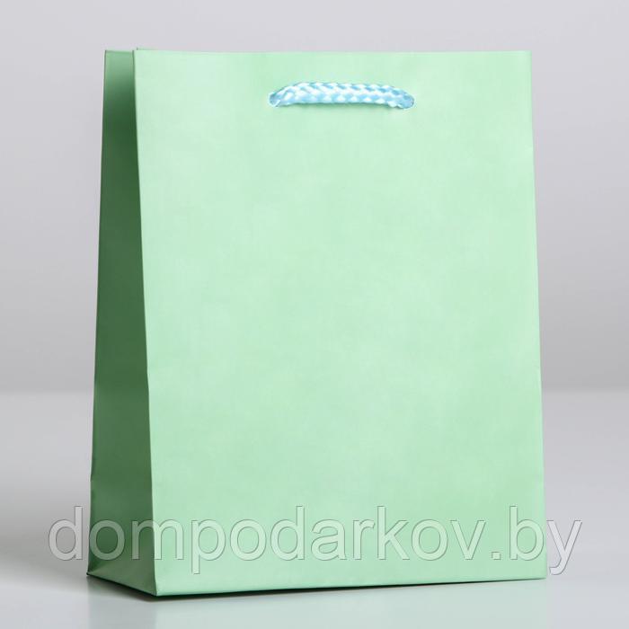 Пакет ламинированный «Зелёный», S 12 х 15 х 5,5 см - фото 1 - id-p199052082