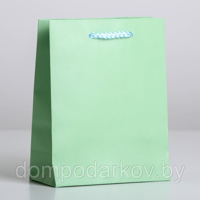 Пакет ламинированный «Зелёный», S 12 х 15 х 5,5 см - фото 3 - id-p199052082