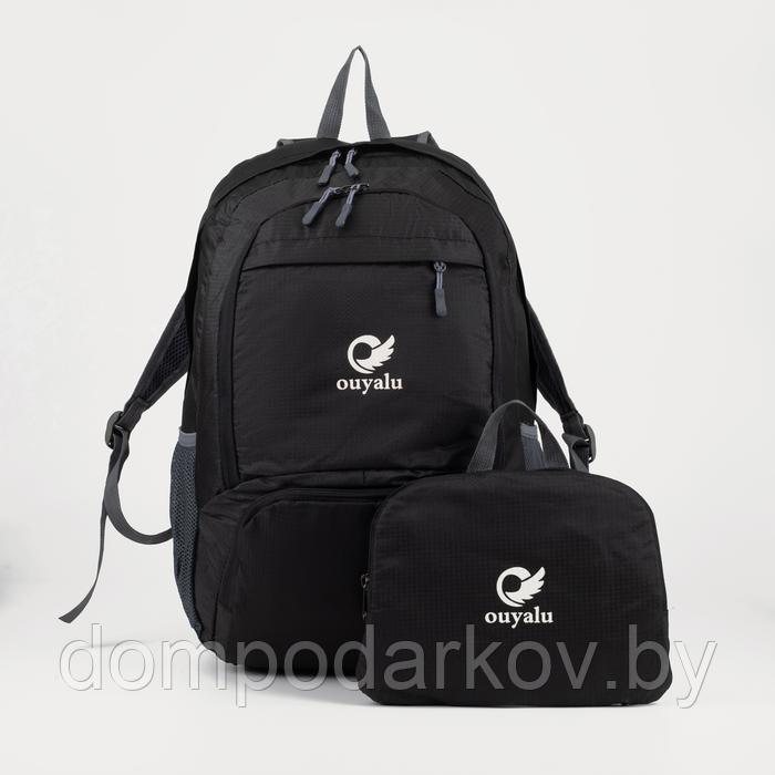 Рюкзак складной на молнии, цвет чёрный - фото 1 - id-p199085645