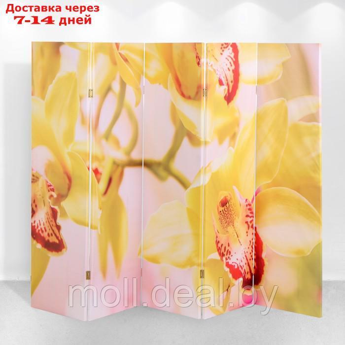 Ширма "Орхидеи", 250 х 160 см - фото 2 - id-p198973884