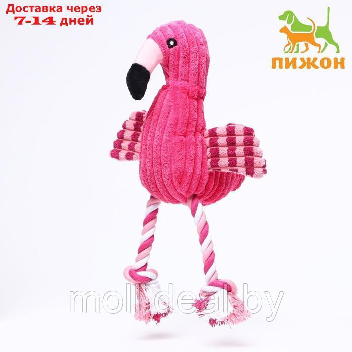 Игрушка мягкая для собак "Фламинго" с пищалкой и канатом, 37 х 16 см, розовая - фото 1 - id-p198967777