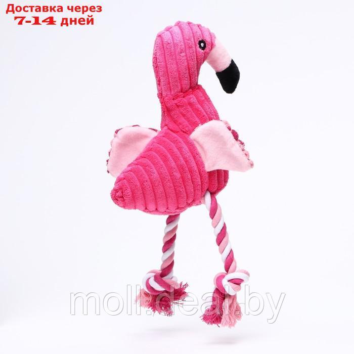 Игрушка мягкая для собак "Фламинго" с пищалкой и канатом, 37 х 16 см, розовая - фото 3 - id-p198967777