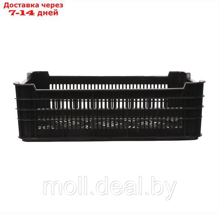 Ящик универсальный, пластиковый, 52 × 32 × 16 см, на 30 кг, чёрный - фото 5 - id-p198971099