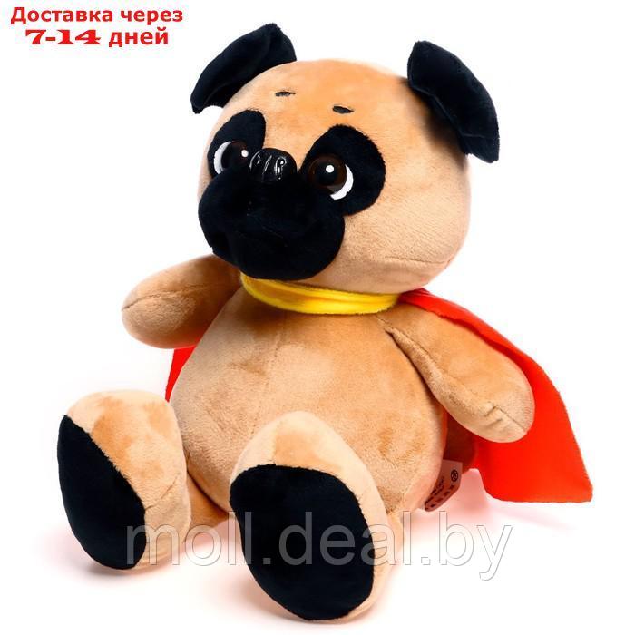 Мягкая игрушка "Собака Мопс", в накидке, 25 см - фото 2 - id-p198973518