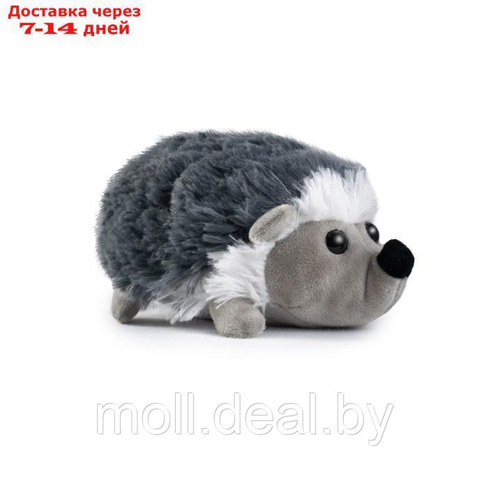 Мягкая игрушка "Ежик Ози", цвет серый, 20 см - фото 1 - id-p198972635