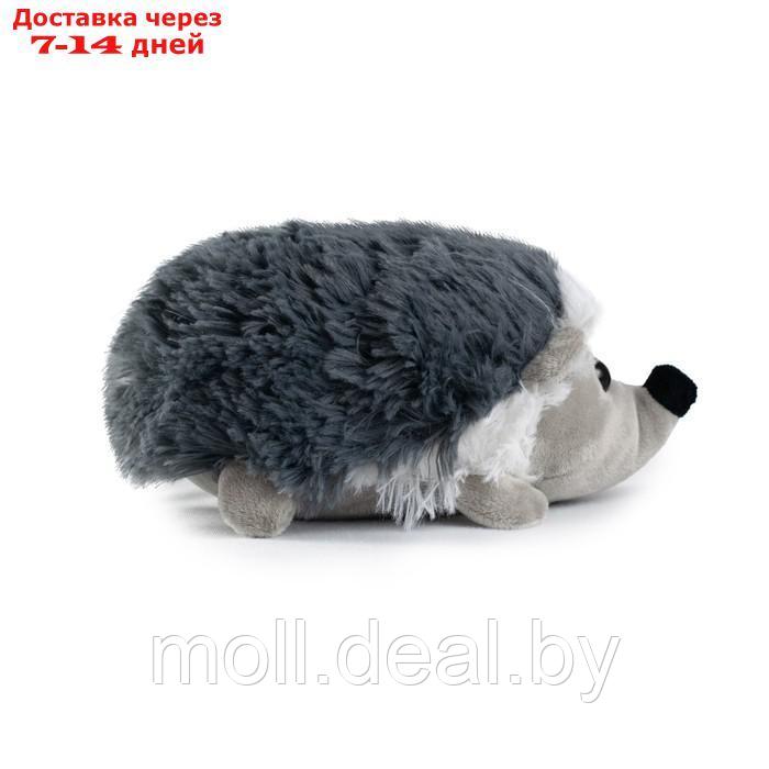 Мягкая игрушка "Ежик Ози", цвет серый, 20 см - фото 2 - id-p198972635