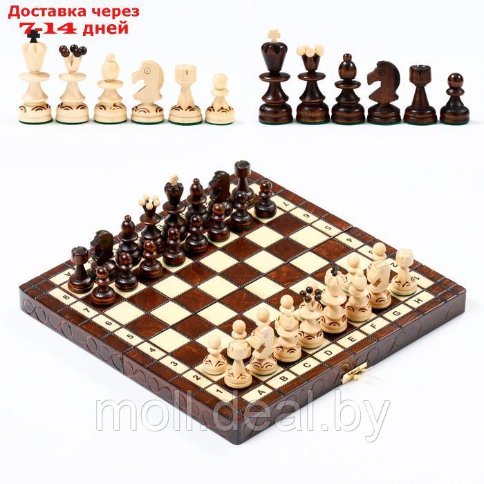 Шахматы "Жемчуг", 28 х 28 см, король h=6.5 см, пешка h-3 см - фото 1 - id-p198973604
