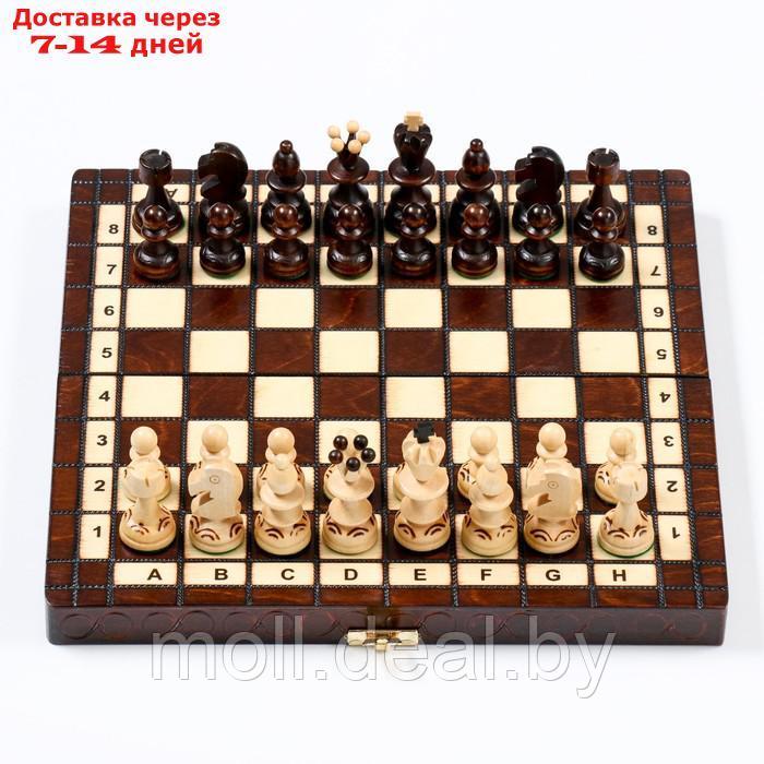 Шахматы "Жемчуг", 28 х 28 см, король h=6.5 см, пешка h-3 см - фото 3 - id-p198973604