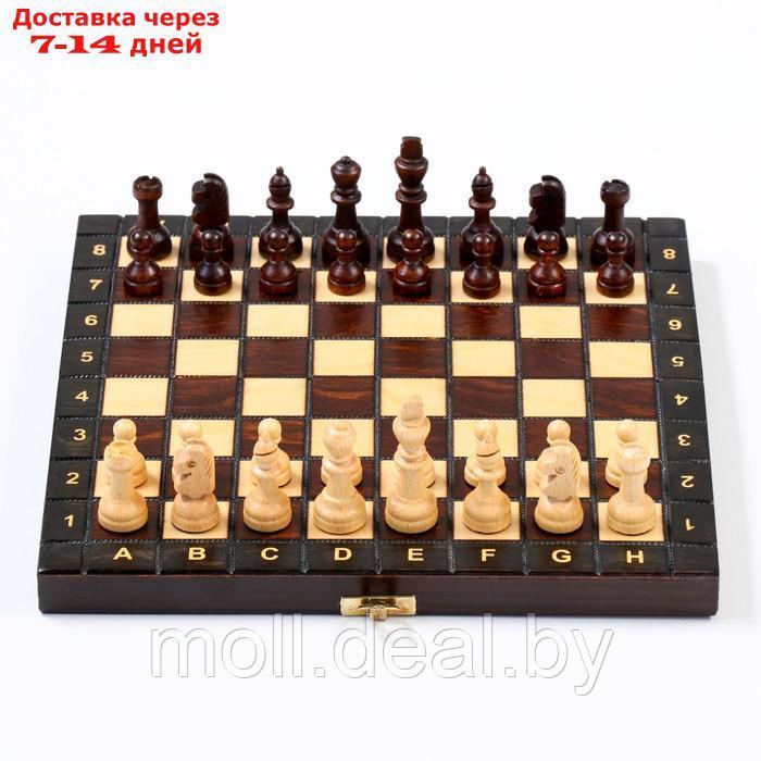 Шахматы ручной работы, 27 х 27 см, король h=6 см. пешка h-2.5 см - фото 3 - id-p198973609