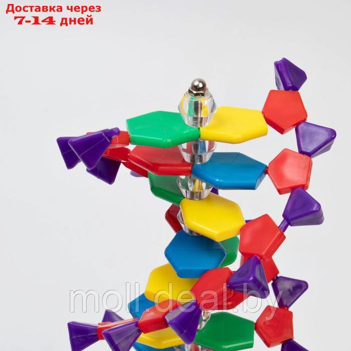 Макет "Строение молекулы ДНК", 45см - фото 3 - id-p198973674