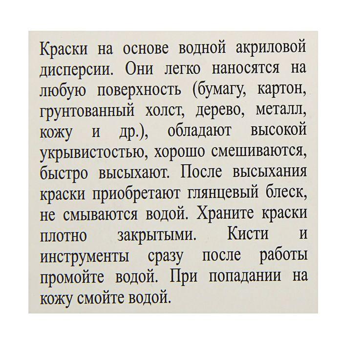 Краска акриловая, набор 9 цветов х 20 мл, ЗХК Decola, глянцевые, 2941115 - фото 2 - id-p199130963