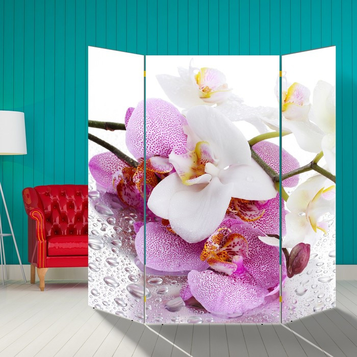 Ширма "Орхидеи. Утренняя свежесть", 160 × 160 см - фото 1 - id-p199119055