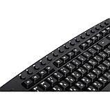 Клавиатура Defender "Focus HB-470 RU", USB, проводная, черный, фото 6