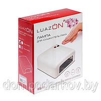 Лампа для гель-лака Luazon LUF-15, UV, 36 Вт, 4 диода, таймер 120 с, 220 В, белая, фото 9