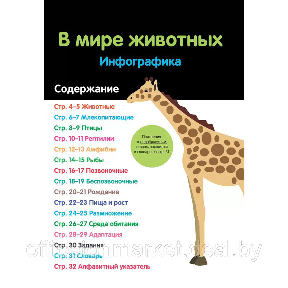 Книга "В мире животных: инфографика", Харриет Брандл - фото 3 - id-p199169196