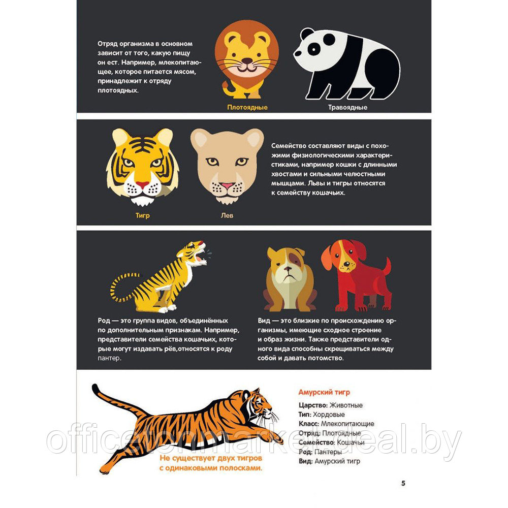 Книга "В мире животных: инфографика", Харриет Брандл - фото 5 - id-p199169196