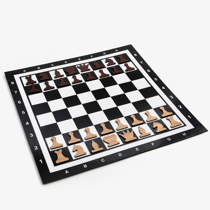 Демонстрационные шахматы на магнитной доске, 60х60 см - фото 1 - id-p199177099