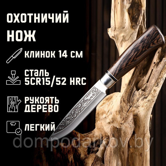 Нож охотничий "Лес" 27см, рукоять микс - фото 1 - id-p177276414