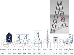Лестница алюм. 2-х секц. 300/553см 2х12 ступ., 10,2кг PRO STARTUL (ST9947-12)