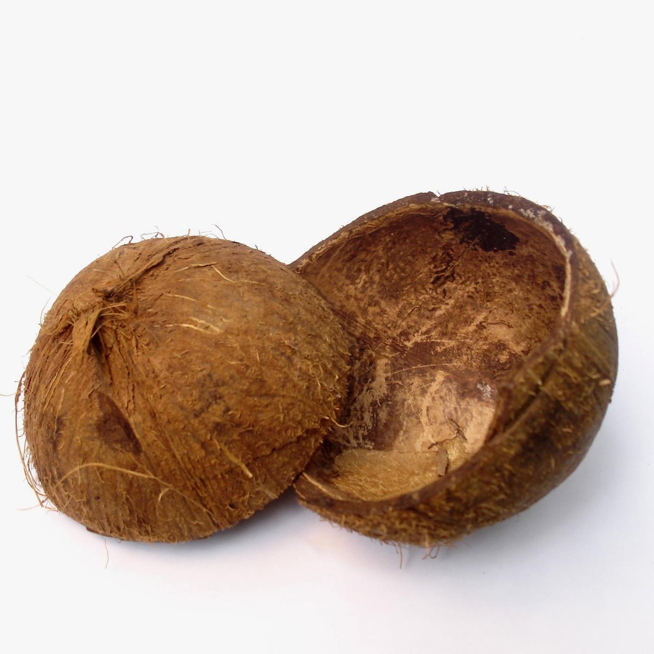 Скорлупа кокосового ореха (половинка) - фото 1 - id-p199246205
