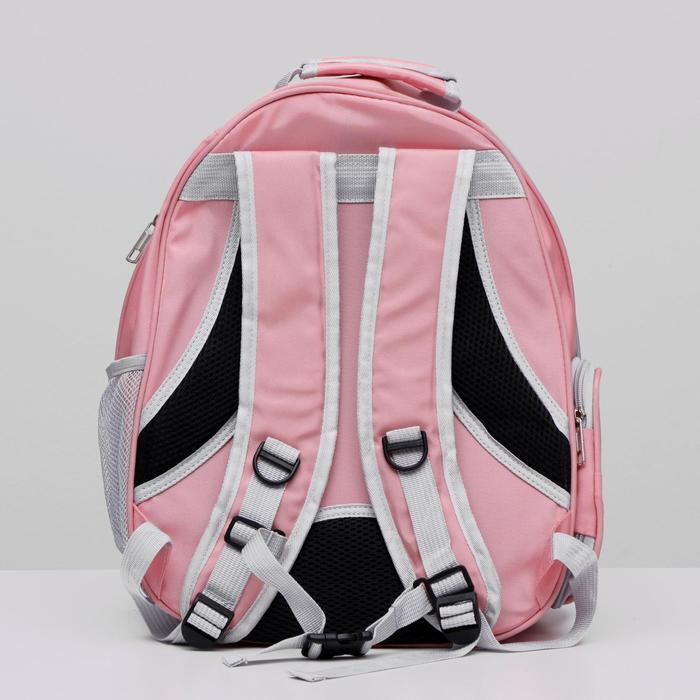 Рюкзак для переноски животных, прозрачный, 31 х 28 х 42 см, розовый - фото 3 - id-p199303485