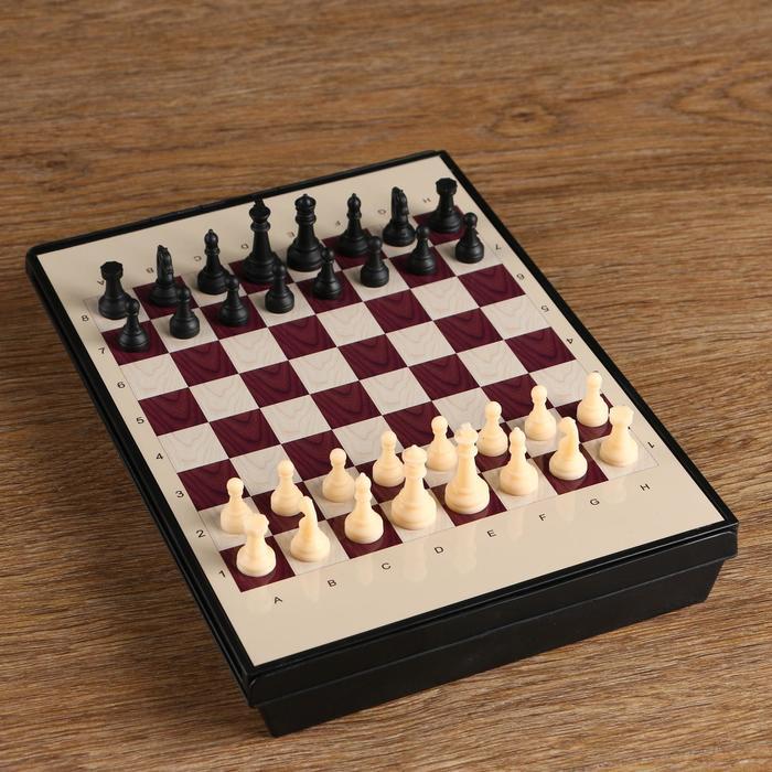 Шахматы магнитные, с ящиком, 24 х 18 см - фото 1 - id-p199297973