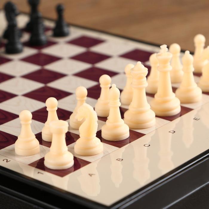 Шахматы магнитные, с ящиком, 24 х 18 см - фото 5 - id-p199297973