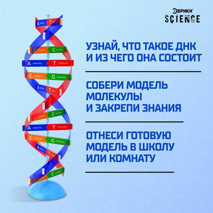 Набор для опытов «Молекула ДНК» - фото 4 - id-p199296291