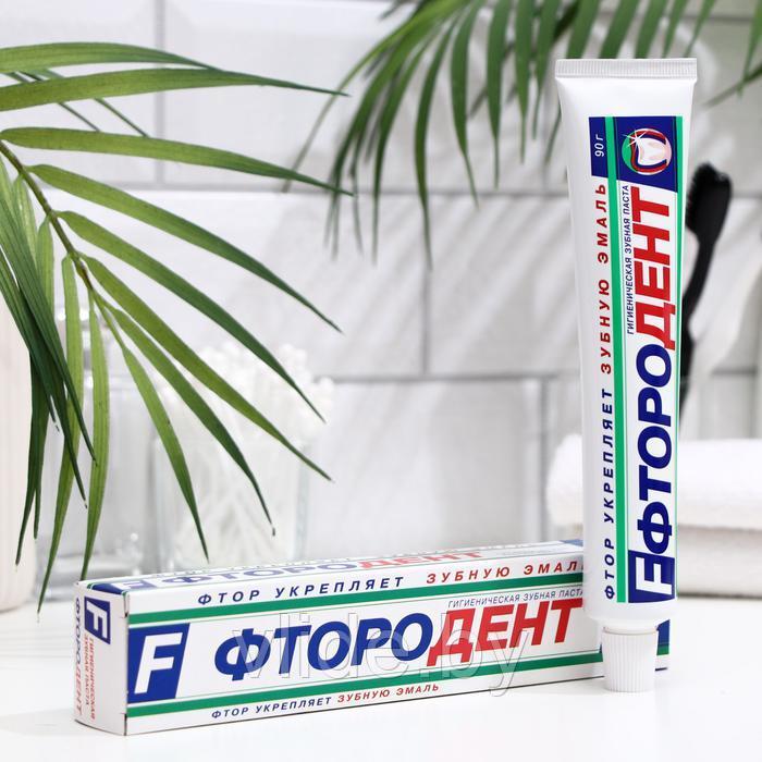 Зубная паста «Фтородент», в упаковке, 90 г - фото 1 - id-p199332388