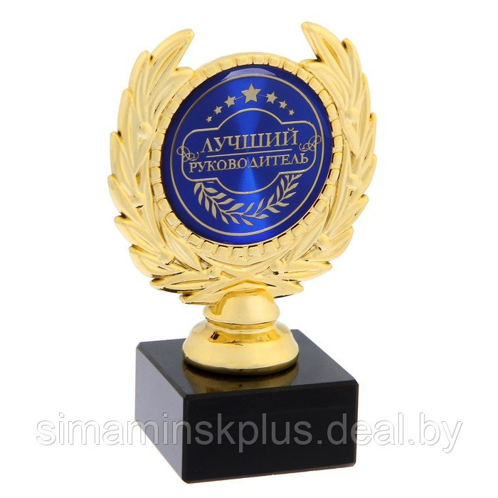 Кубок малый пластик «Лучший руководитель» 13 х 7,5 х 7,5 см - фото 1 - id-p199335715