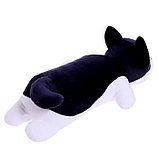 Мягкая игрушка «Собака Хаски Сплюша», 50 см, фото 3