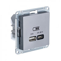 USB розетка A + тип-C 45W высокоскор.заряд. QC, PD, цвет Сталь (Schneider Electric ATLAS DESIGN)