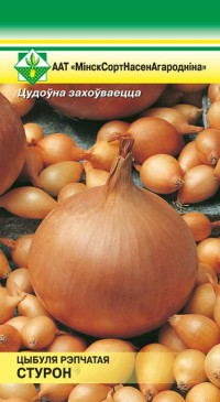 Семена Лук Стурон (0,5 гр) МССО - фото 1 - id-p122507337