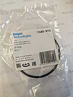Уплотнительное кольцо (O-ring) ТНВД Delphi 7185-973