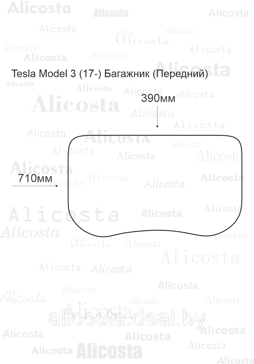 Ворсовый автоковрик Tesla Model 3 (17-) (Передний) Багажник, Premium, Черный - фото 1 - id-p199194929