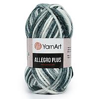 Пряжа YarnArt 'Allegro Plus' 100гр 110м (16% шерсть, 28% полиамид, 56% акрил) (748 секционный)