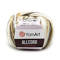 Пряжа YarnArt 'Allegro' 50гр 145м (13% шерсть, 41% полиамид, 46% акрил) (741 секционный)