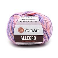 Пряжа YarnArt 'Allegro' 50гр 145м (13% шерсть, 41% полиамид, 46% акрил) (747 секционный)